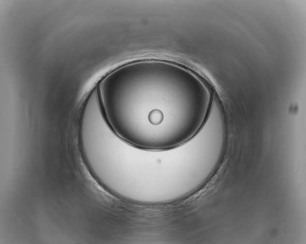 X0000090621504200707241117