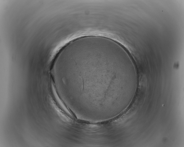 X0000090621507200707241117