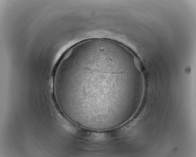 X0000090621509200707241117
