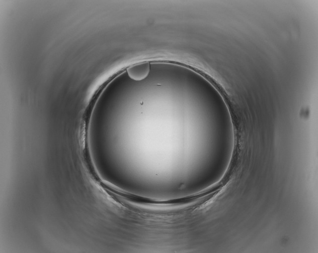 X0000090621510200707241117