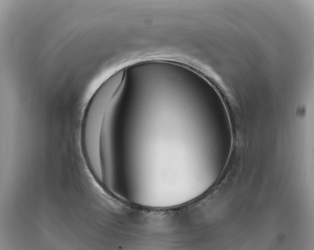 X0000090621512200707241117