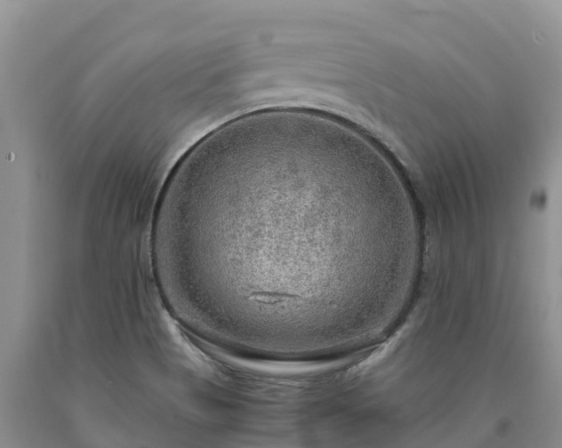X0000090621513200707241117