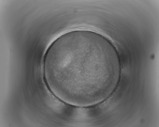 X0000090621514200707241117