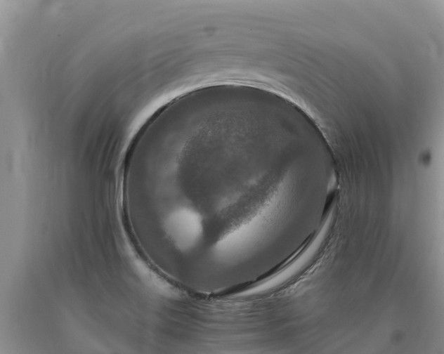 X0000090621515200707241117