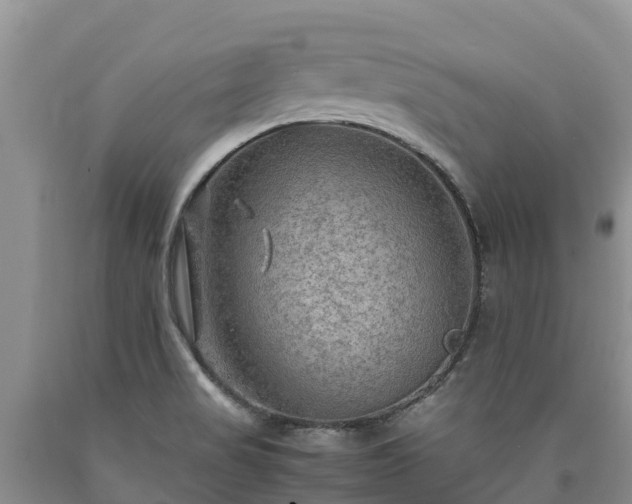X0000090621517200707241117