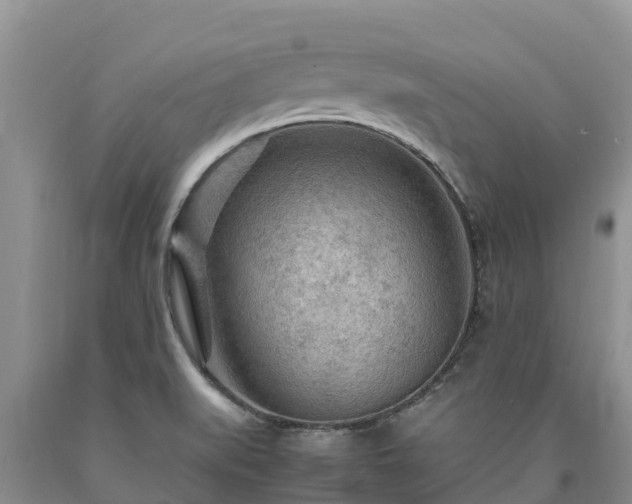 X0000090621519200707241117