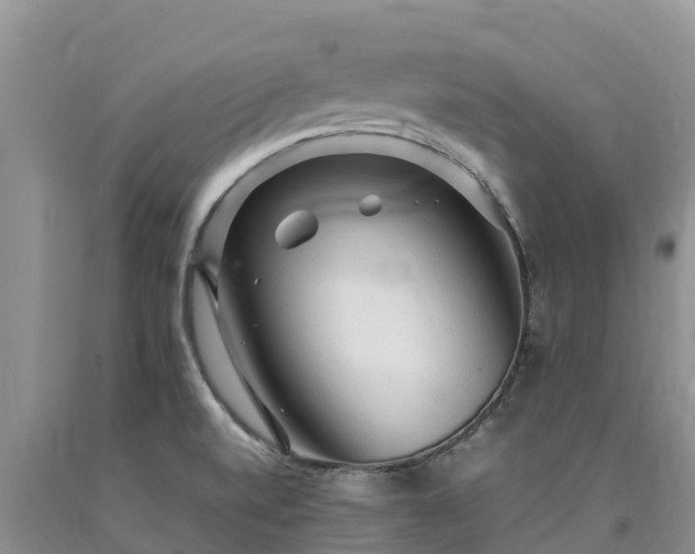 X0000090621520200707241117