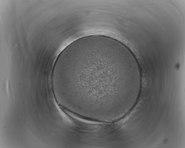 X0000090621521200707241117