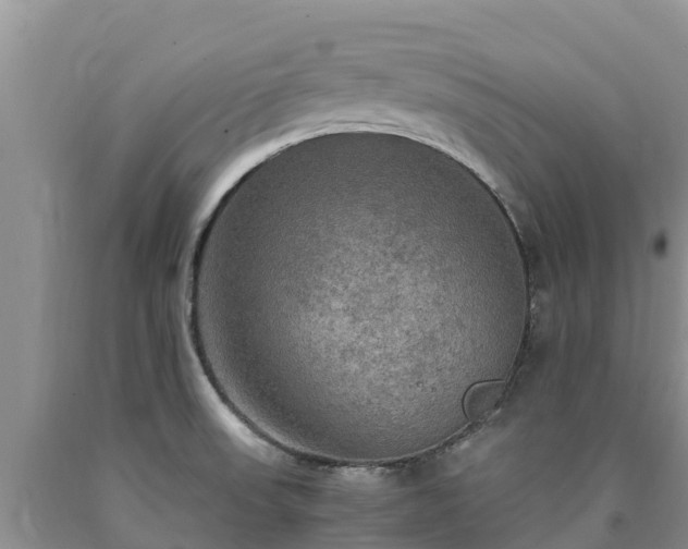 X0000090621523200707241117