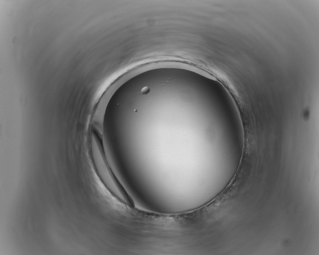 X0000090621524200707241117