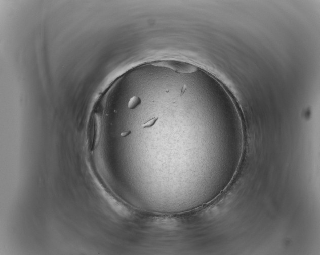 X0000090621525200707241117