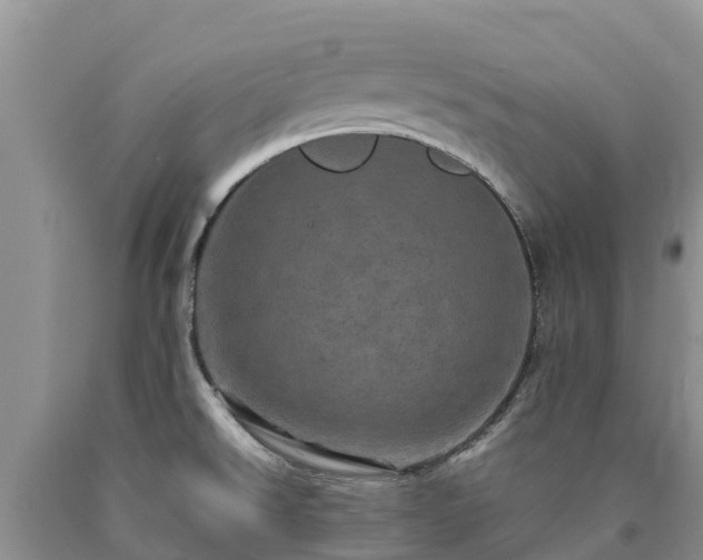 X0000090621526200707241117
