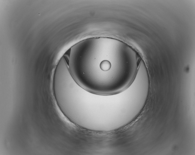 X0000090621528200707241117