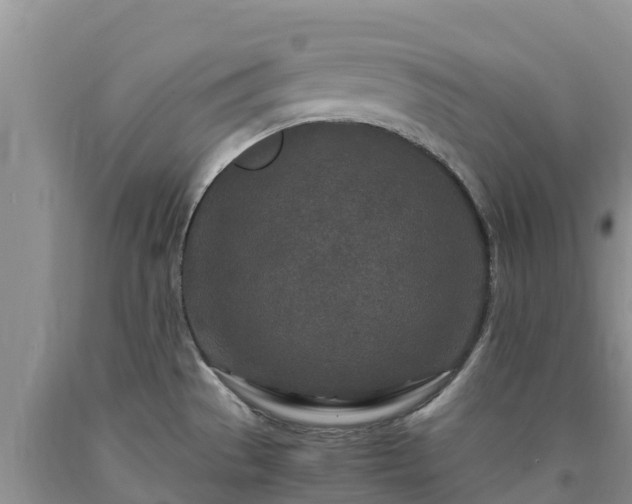 X0000090621529200707241117