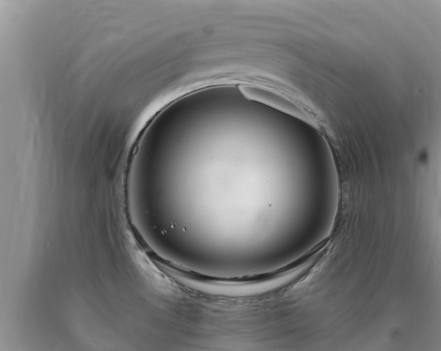 X0000090621530200707241117