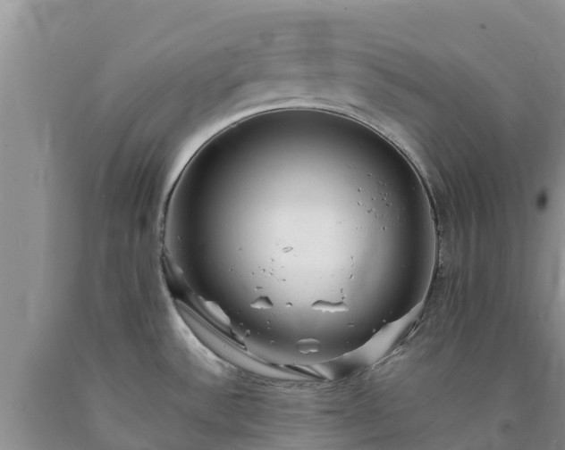 X0000090621532200707241117