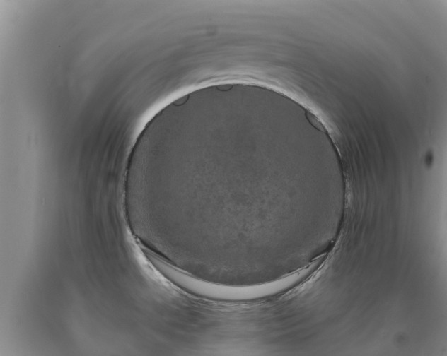 X0000090621534200707241117