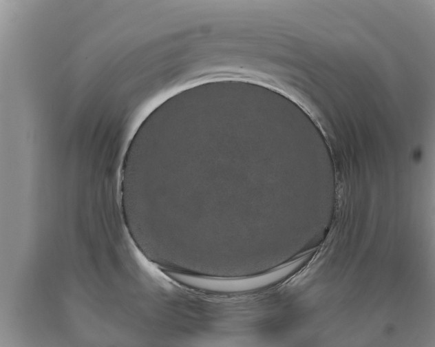 X0000090621535200707241117