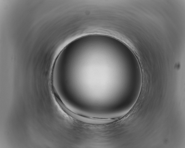 X0000090621536200707241117