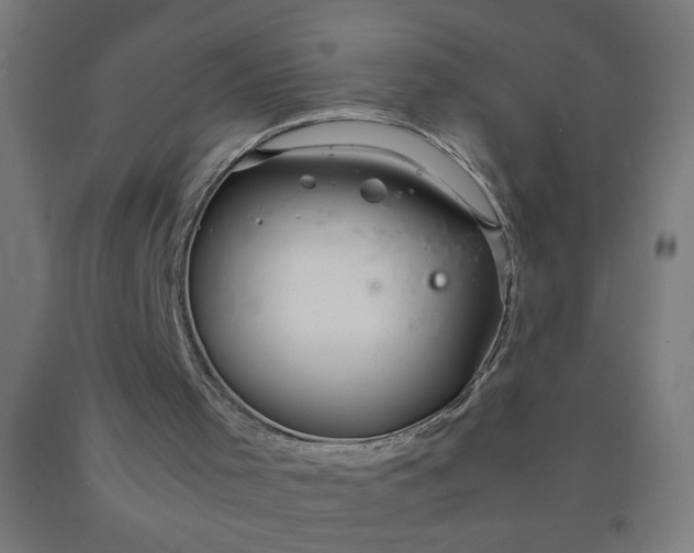 X0000090620001200707311254