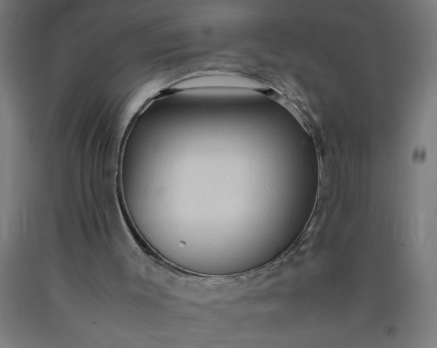 X0000090620003200707311254