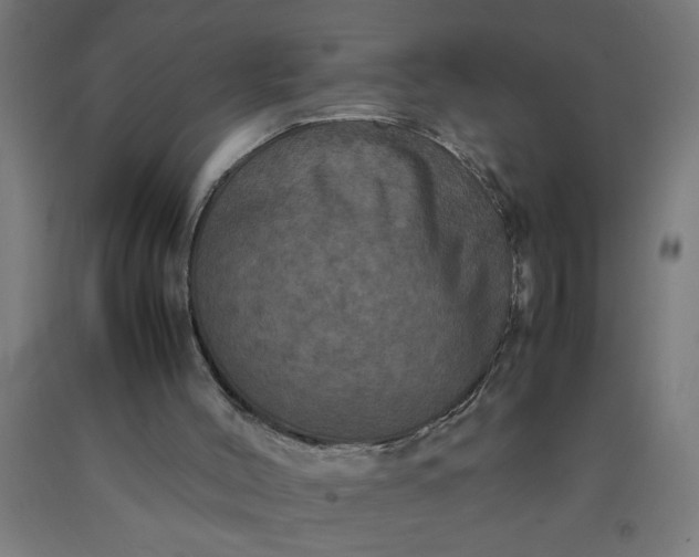 X0000090620004200707311254