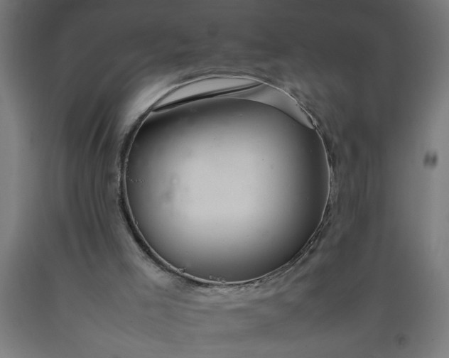 X0000090620005200707311254