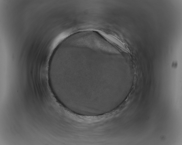 X0000090620006200707311254