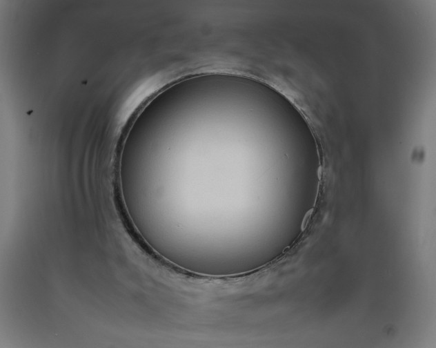 X0000090620007200707311254