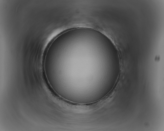 X0000090620008200707311254