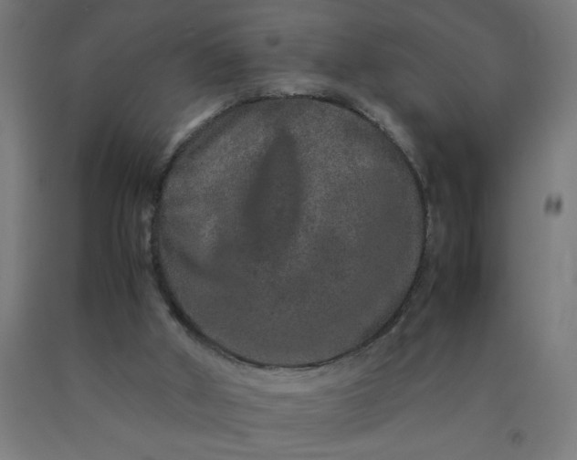 X0000090620010200707311254