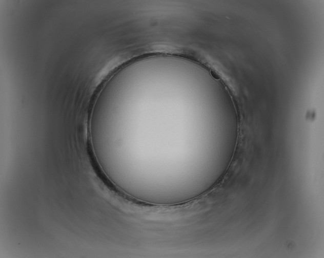 X0000090620011200707311254