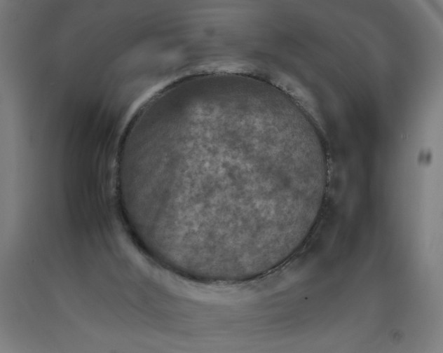 X0000090620012200707311254