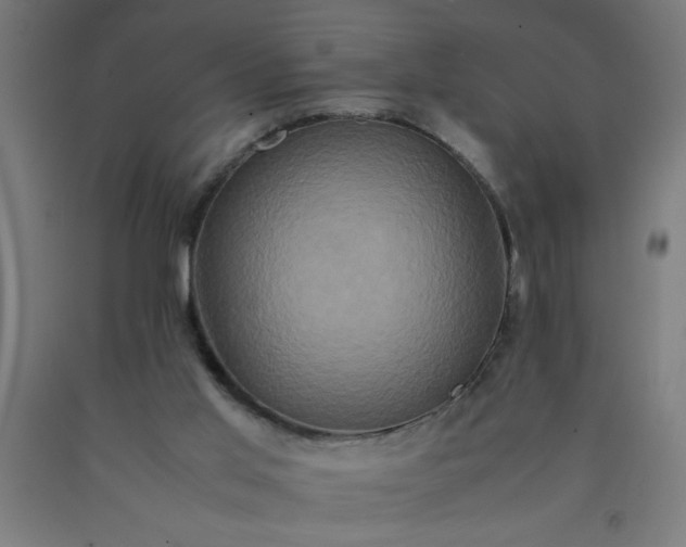 X0000090620013200707311254