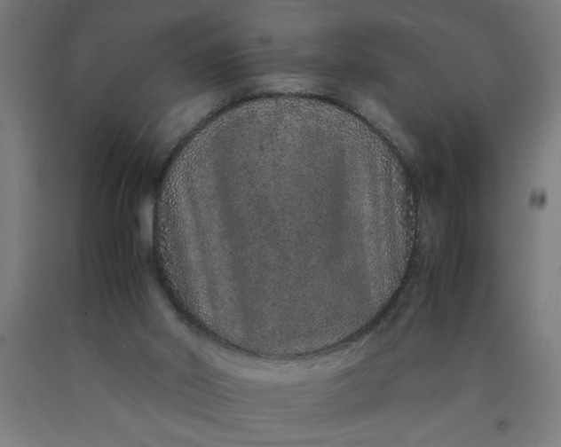 X0000090620014200707311254