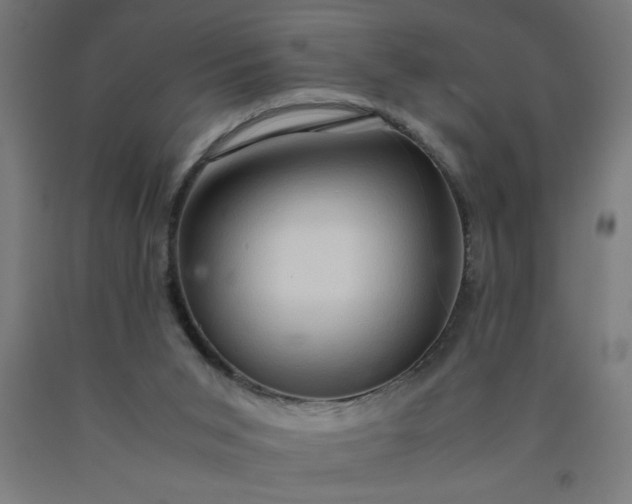 X0000090620015200707311254