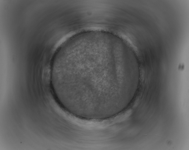 X0000090620016200707311254