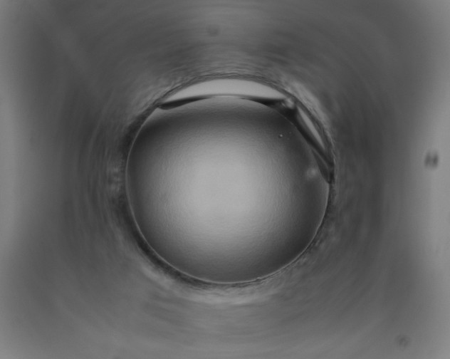 X0000090620017200707311254