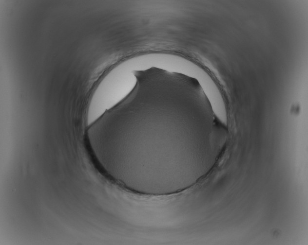 X0000090620019200707311254