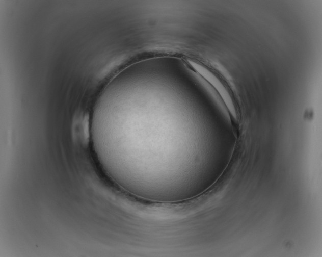 X0000090620020200707311254