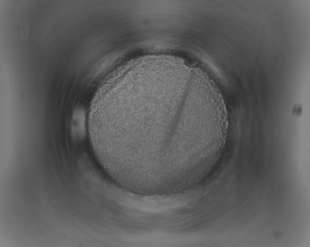 X0000090620022200707311254