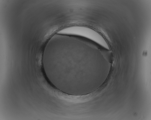 X0000090620023200707311254