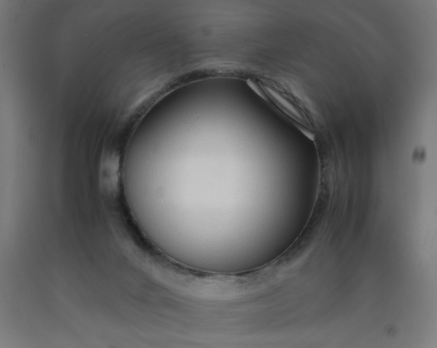 X0000090620024200707311254