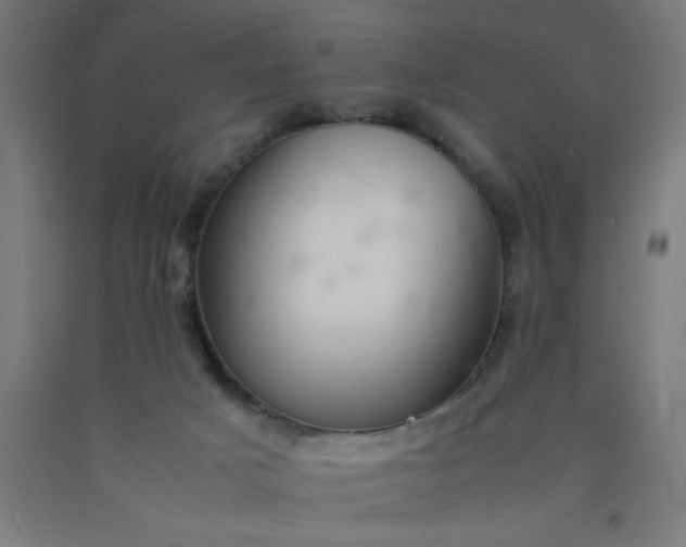 X0000090620025200707311254