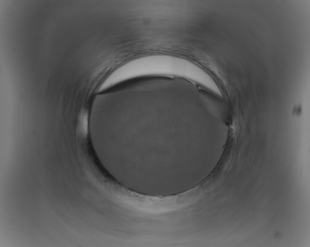 X0000090620027200707311254