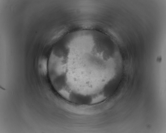 X0000090620028200707311254