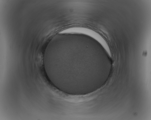 X0000090620029200707311254