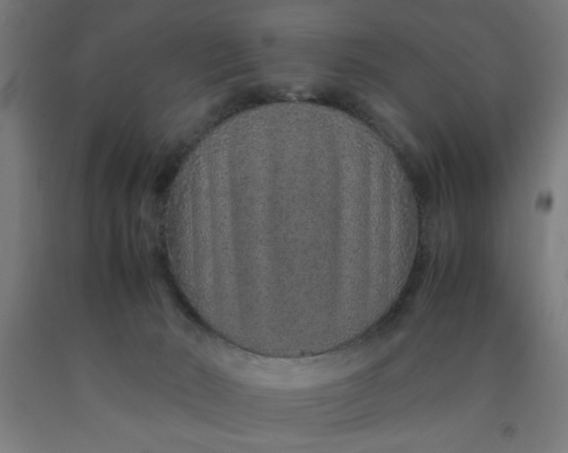 X0000090620030200707311254