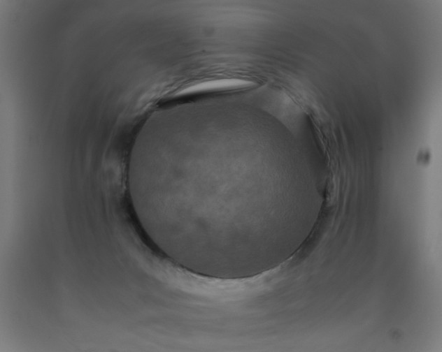 X0000090620031200707311254