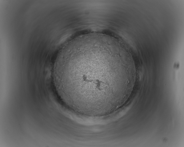 X0000090620032200707311253